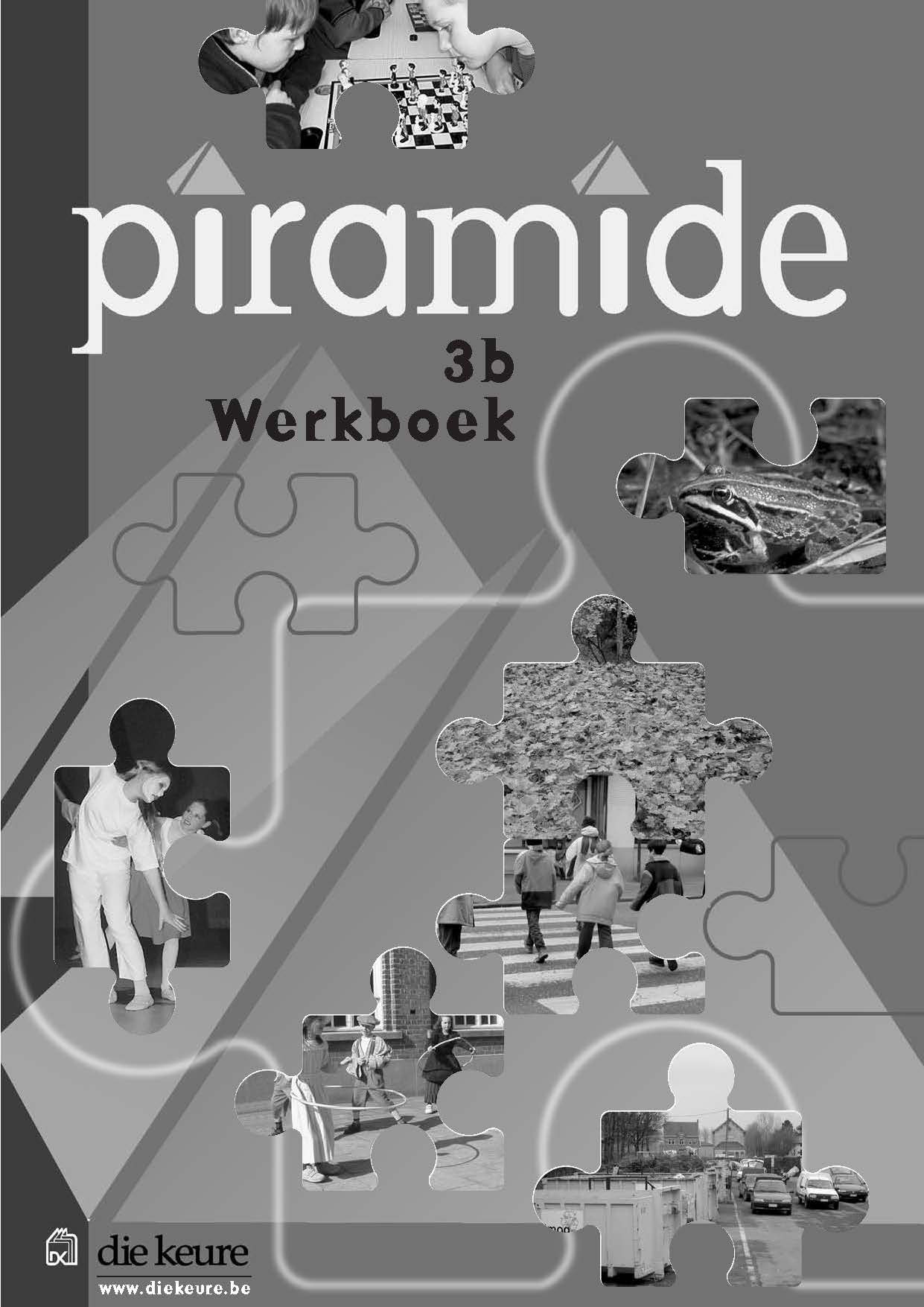 Piramide 3B werkboek