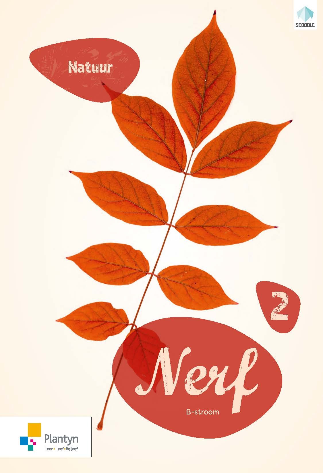 Nerf 2 - Leerwerkboek (editie 2019)