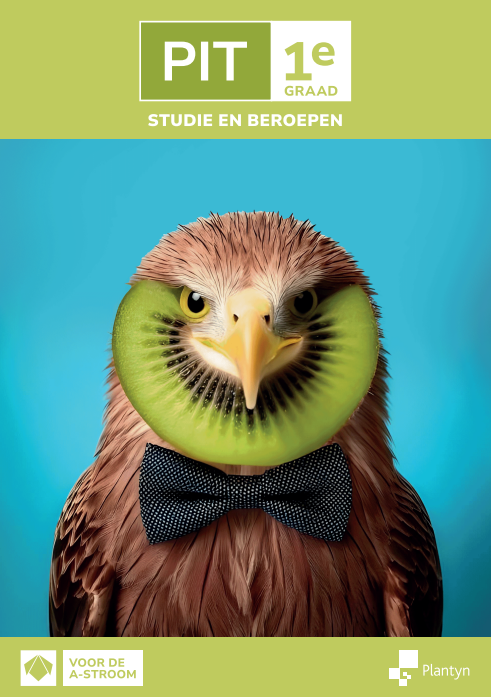 PIT 1e graad Studie en beroepen Leerwerkboek