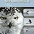 Bio natuurlijk 3 leerboek