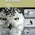Bio natuurlijk 3 werkboek