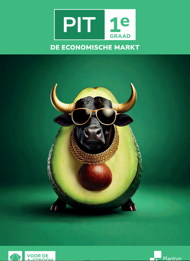 PIT 1e graad De economische markt Leerwerkboek