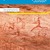 Passages junior De prehistorie