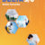 Delta 5/6 Reële functies Leerwerkboek