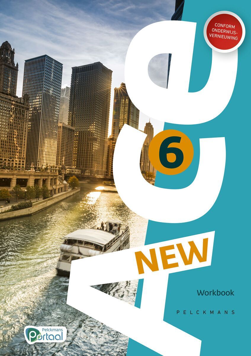 New Ace 6 Workbook 