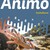Animo 6 - Leerwerkboek (editie 2019)
