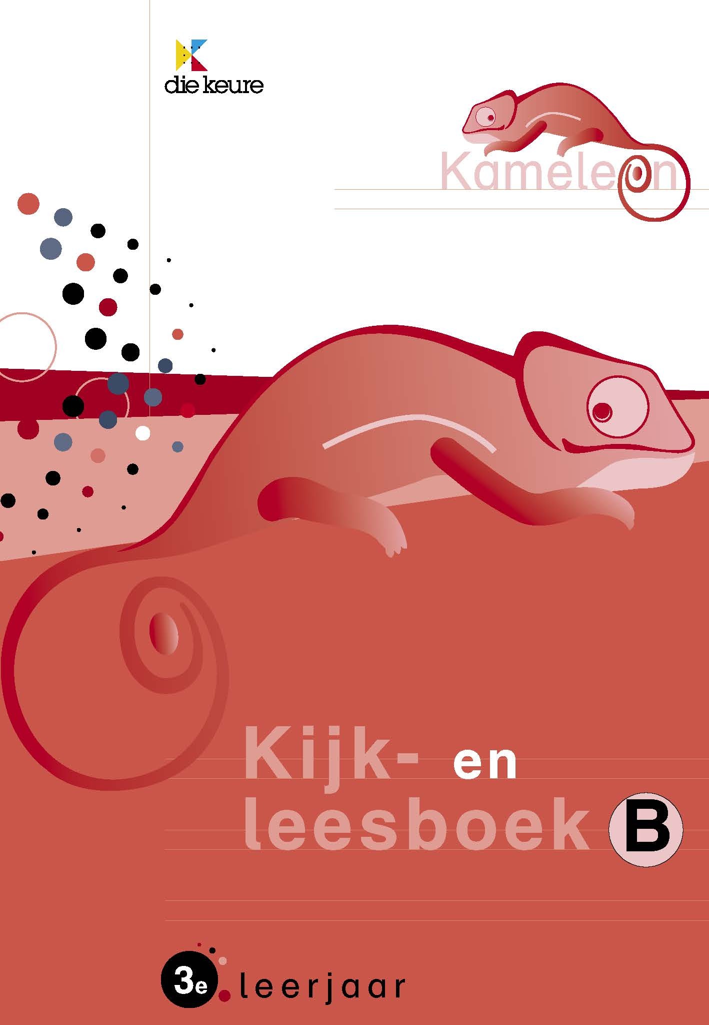 Kameleon Taal 3B kijk- en leesboek