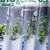 Biogenie 6.2 (deel 2)