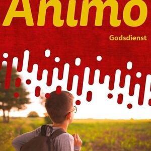 Animo (editie 2019) 2