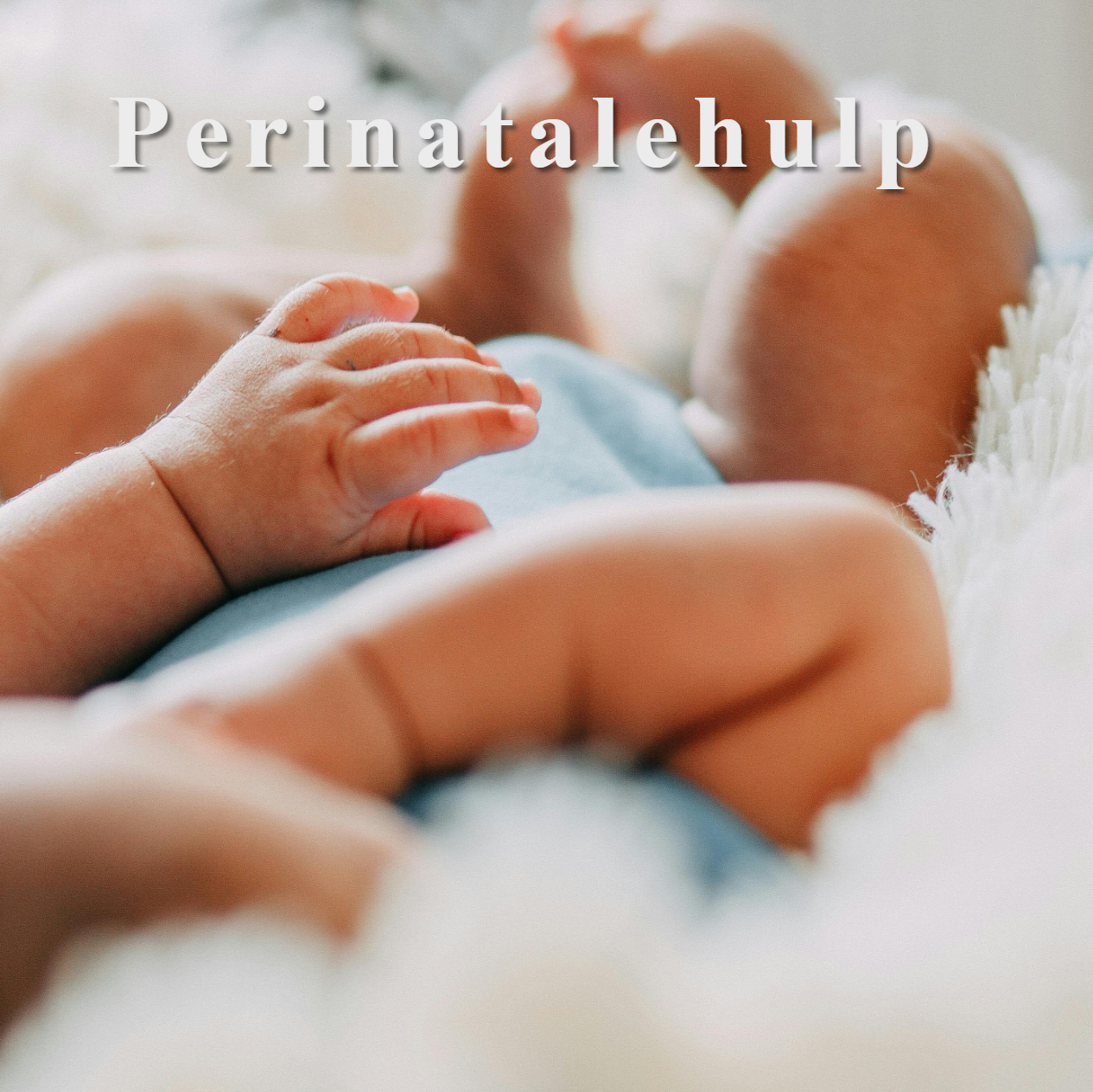 logo Perinatalehulp