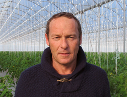 Lorenzo Ceroni Ravenna, Northern-Italy Tomatoes in bunches, crop planning, interview with Lorenzo (Dutch)