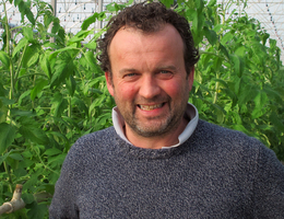 Maurizio Costantino Bra, Noord-Italië Coeur de boeuf-tomaten, advies op afstand, interview met Maurizio