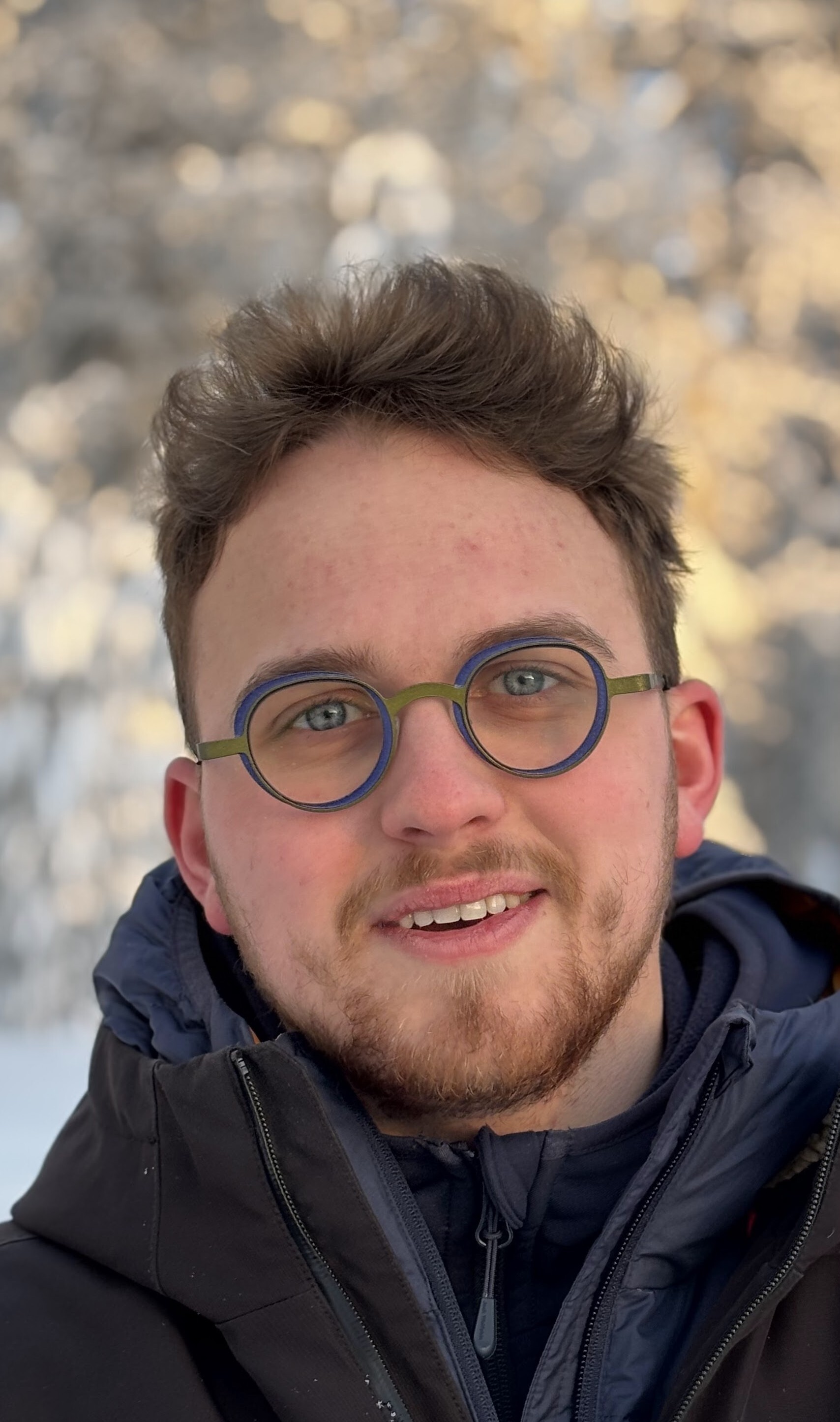 Jannes Willemen