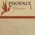 Phoenix 1 Livret de vocabulaire (édition 2020)