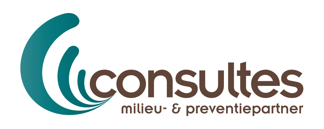 logo Consultes