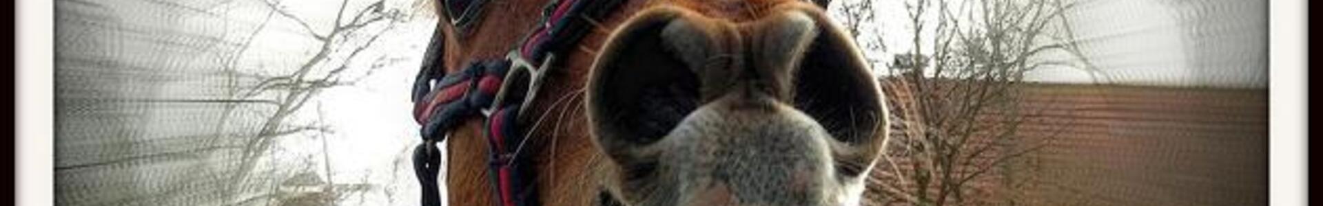Images