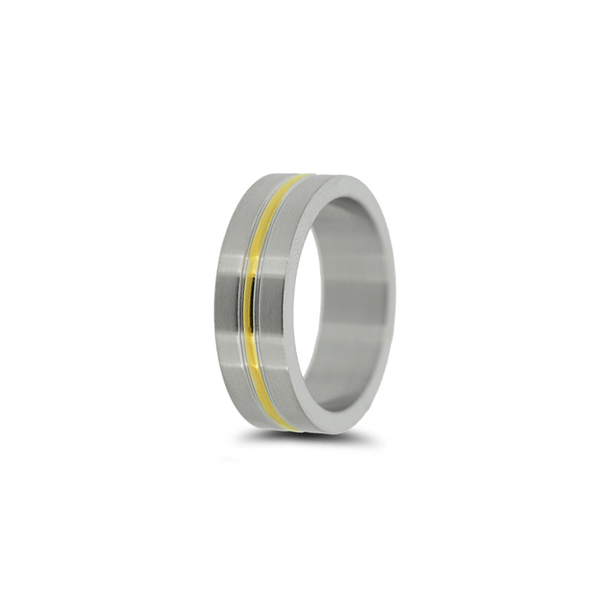 Ring - stainless steel