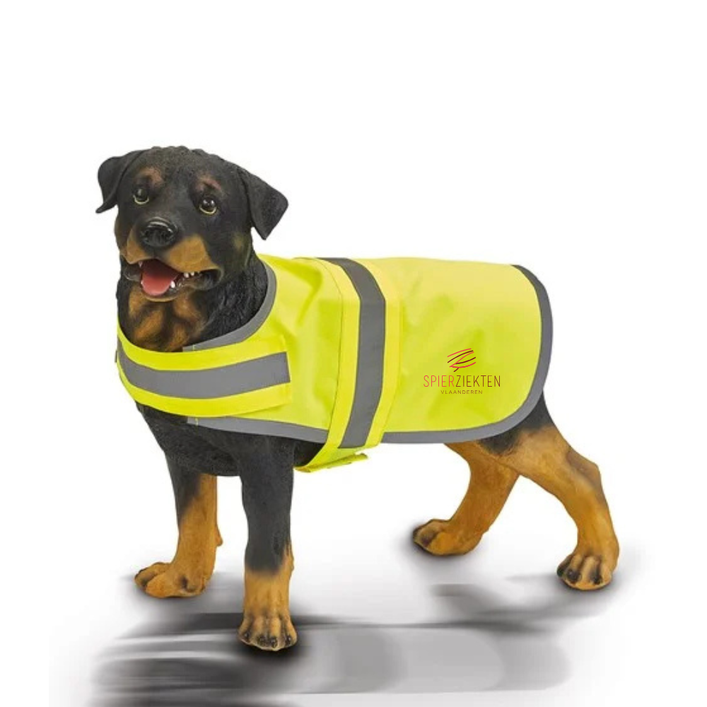 Fluohesje Hond geel - L