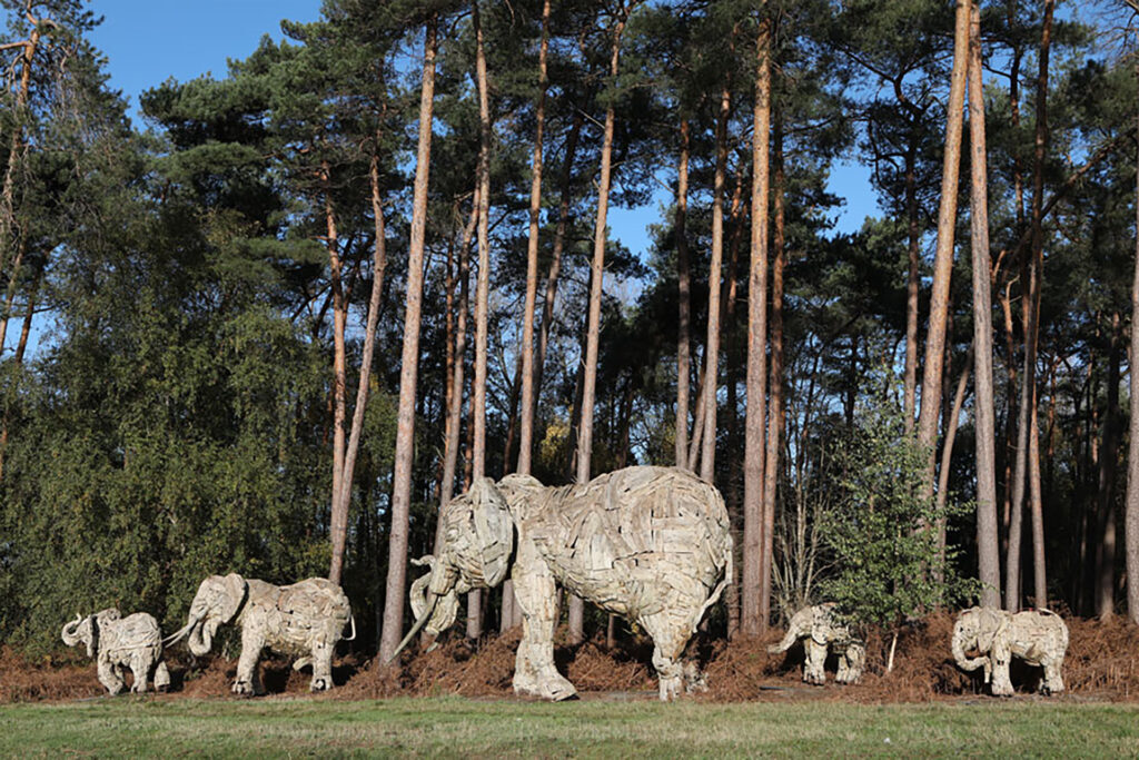 lente-uitstap-in-kemzeke