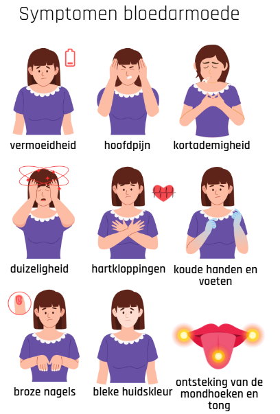 Symptomen bloedarmoede