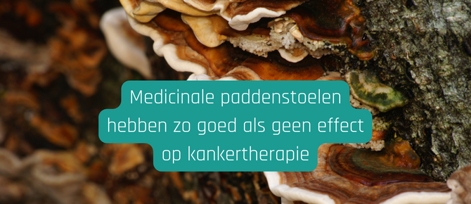 Are Medicinal Mushrooms a Viable Complementary Therapy for Cancer Treatment? A Critical Analysis of the Evidence