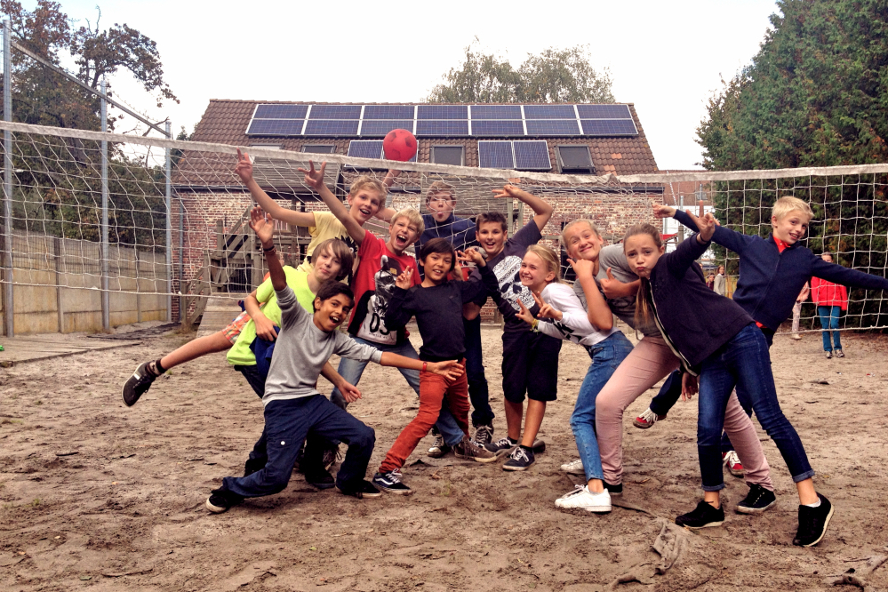 volleybal_geel.jpg