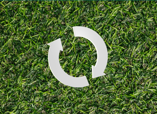 RREUSE's answer to Call for feedback Environmental Omnibus