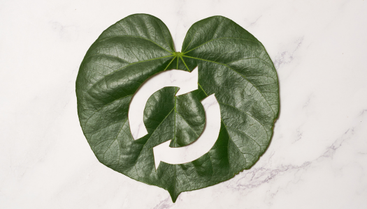Extended producer responsibility and the Circular Economy Act