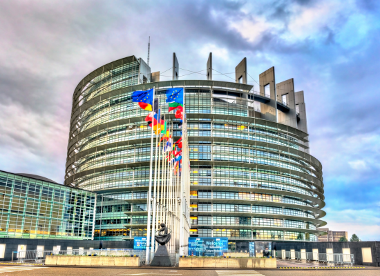The NSDPP welcomes the European Parliament’s step towards a more sustainable public procurement and calls for stronger, binding social and environmental commitments