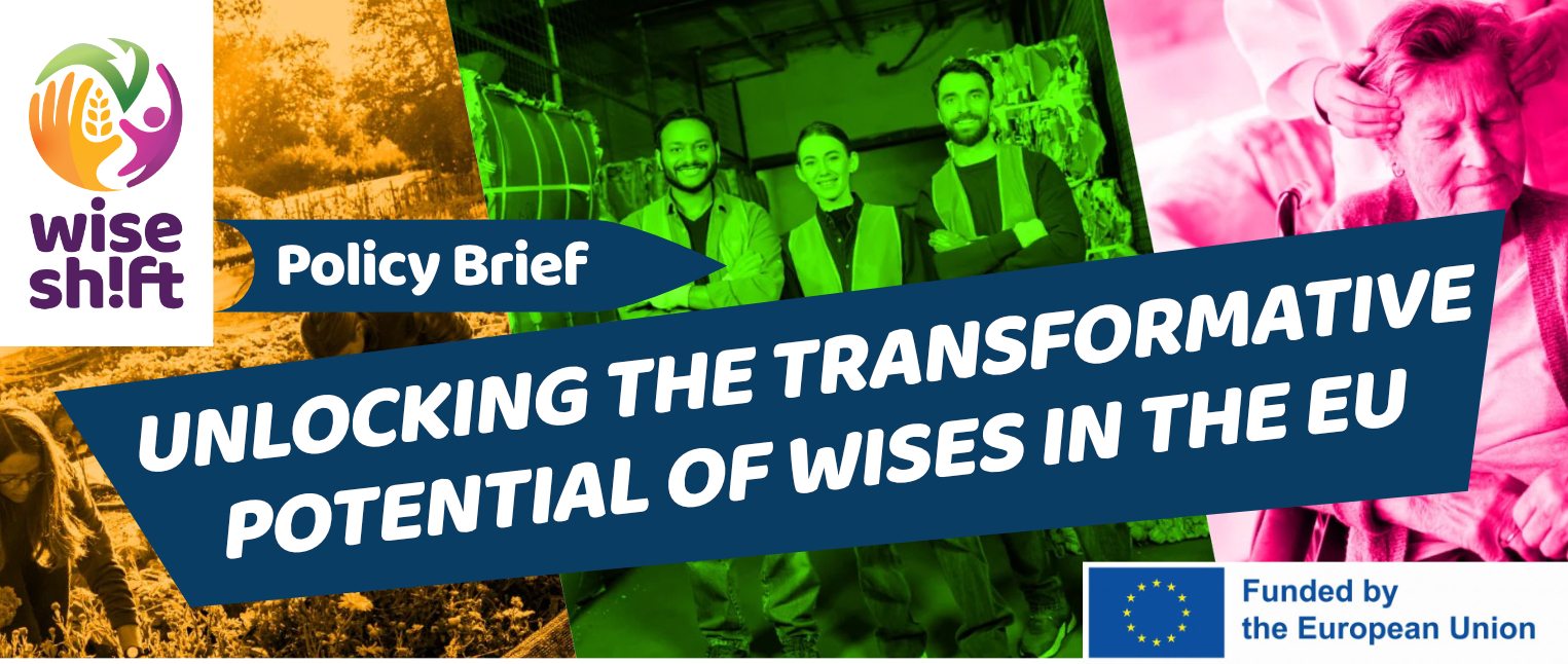 Unlocking the transformative potential of WISEs in the EU